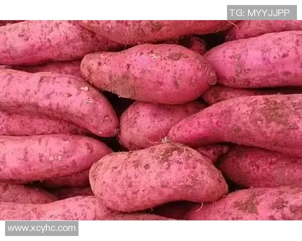 如何以最实惠价格购买足球球星球衣并避免购买陷阱 如何以最实惠价格购买足球球星球衣并避免购买陷阱