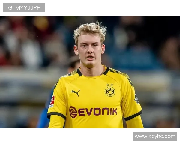 最帅足球球星布兰特的个人魅力与球场表现全解析