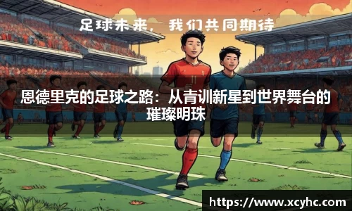 DG视讯